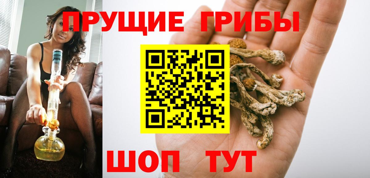 Псилоцибиновые грибы MAGIC MUSHROOMS  Вход с VPN  Выкса  Псилоцибиновые грибы мицелий 